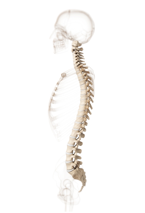 Tehnica minim-invazivă împotriva metastazelor coloanei vertebrale