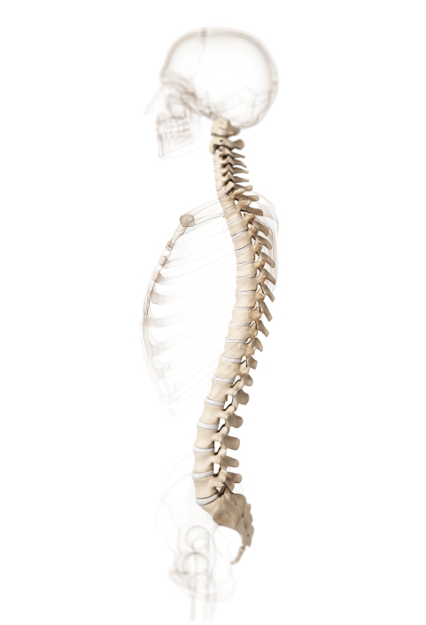 chirurgie spinala minim invaziva.jpg