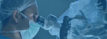 1 1.png 1 1.png